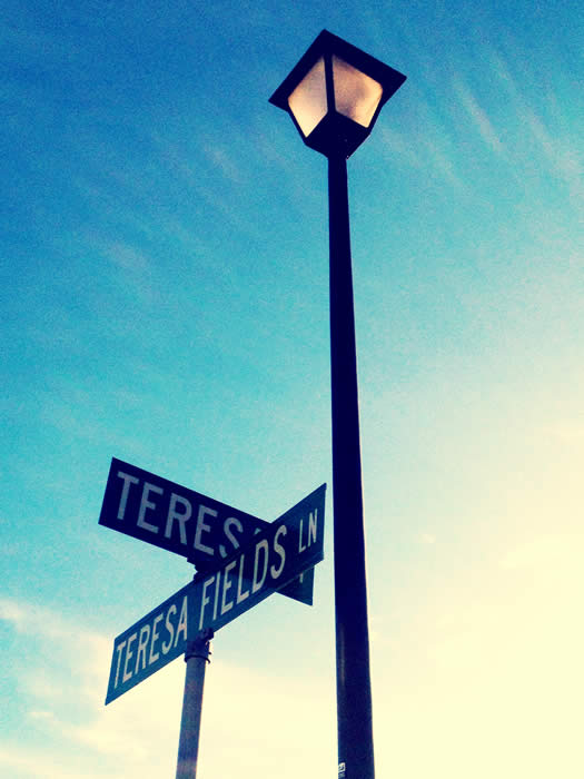 TERESA Street Sign 2026 Kevin So